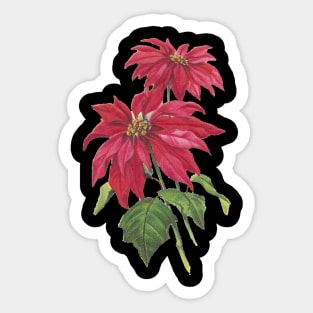 Vintage Blooming Christmas Poinsettia Sticker